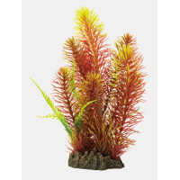 ART PLANT MYRIPHYLLUM